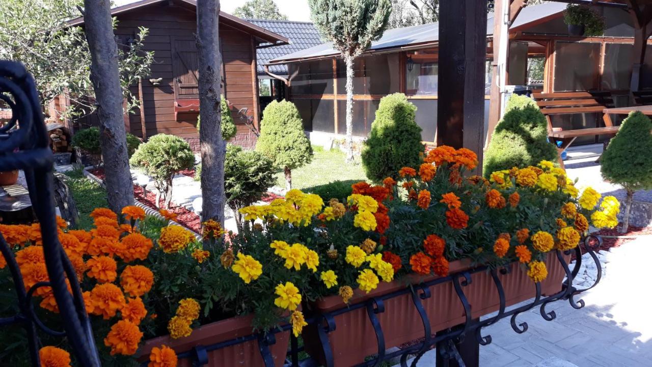 Casa Alberta Ocna Şugatag 外观 照片