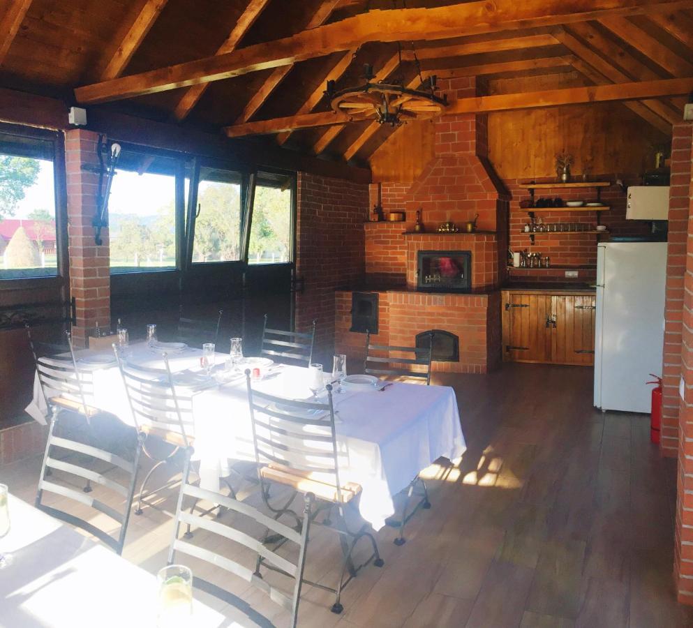 Casa Alberta Ocna Şugatag 外观 照片